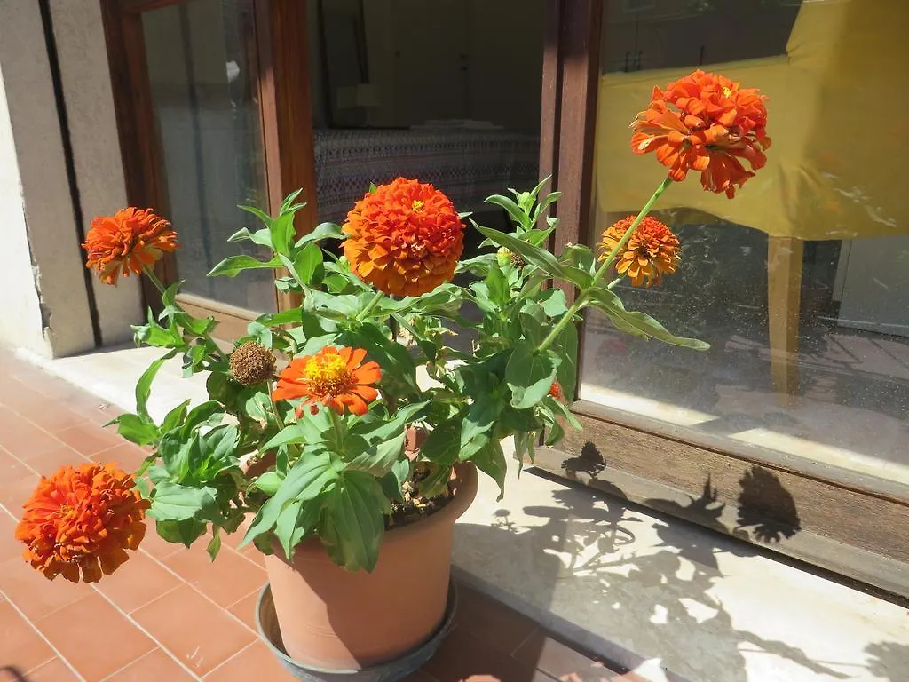 B&B Casa Patavina Padova